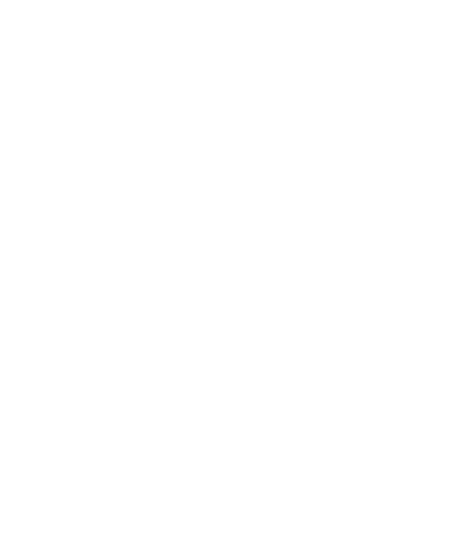 NAPIT Logo